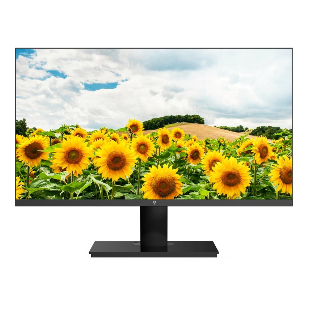 V7 L238V0-E 24.0" FHD IPS 100Hz 5ms Multimedia Monitor