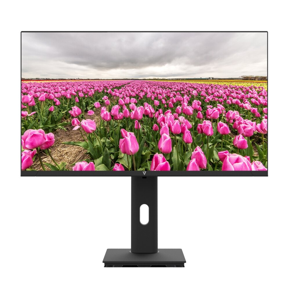 V7 L238V0-HAS-E 24.0" FHD IPS 100Hz Multimedia Monitor