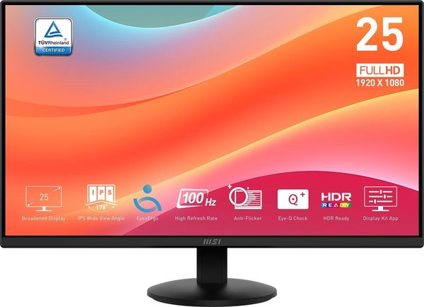 MSI MP252L 24.5" FULL HD LED 100HZ BLACK