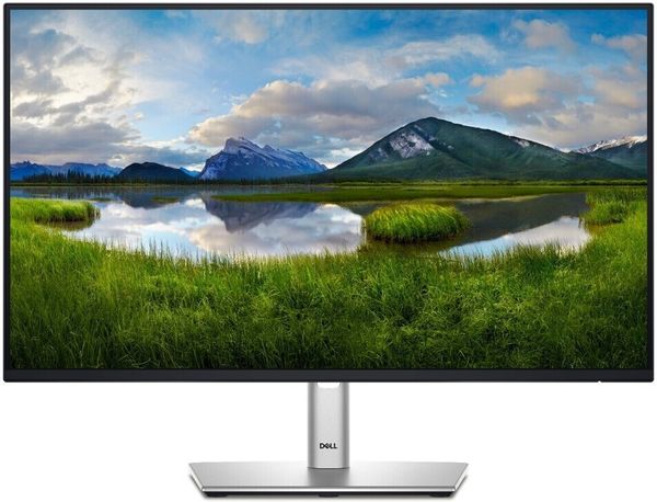 Dell P2425H 24.0" IPS Full HD 100Hz